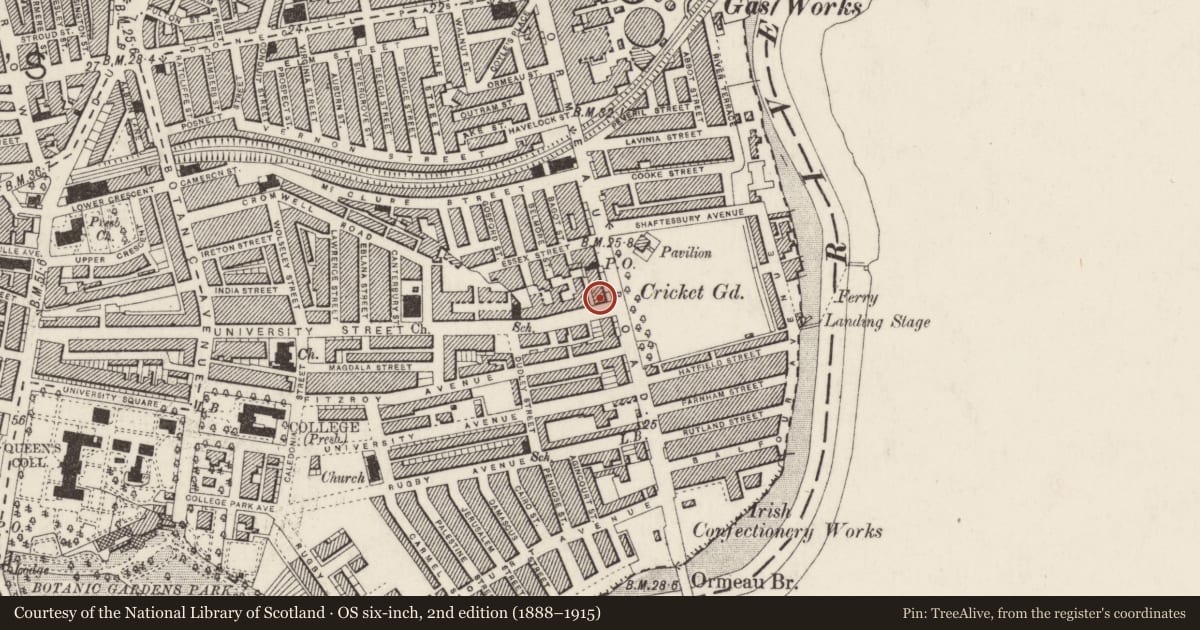 Ordnance Survey six-inch map, 2nd edition (1888–1915) covering the location of 135 Ormeau Road, Belfast, with a pin at the register's coordinates
