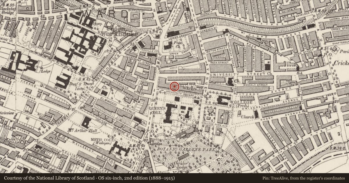 Ordnance Survey six-inch map, 2nd edition (1888–1915) covering the location of 12 University Square, Belfast, with a pin at the register's coordinates