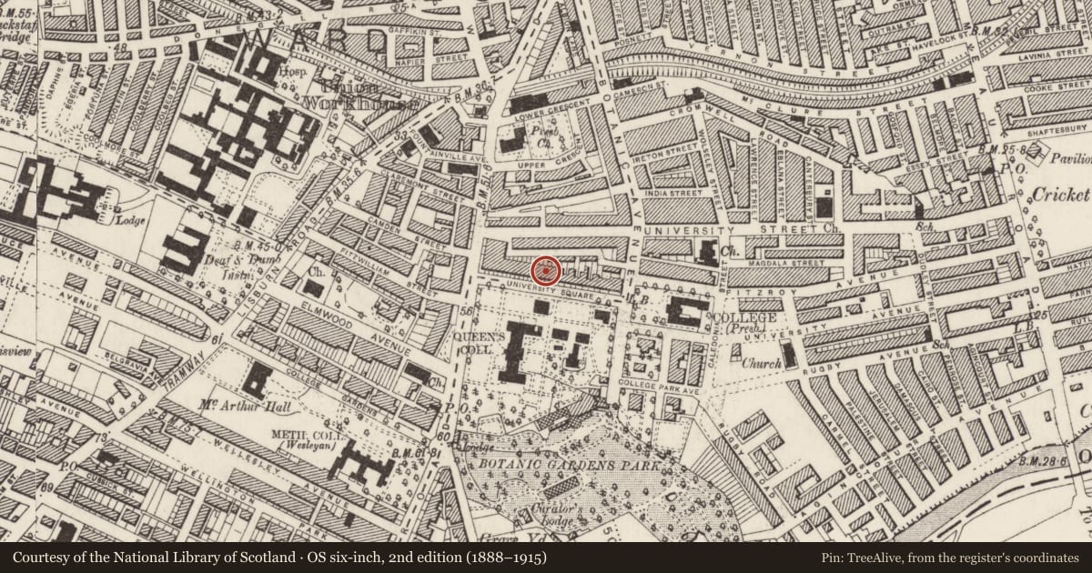 Ordnance Survey six-inch map, 2nd edition (1888–1915) covering the location of 15 University Square, Belfast, with a pin at the register's coordinates