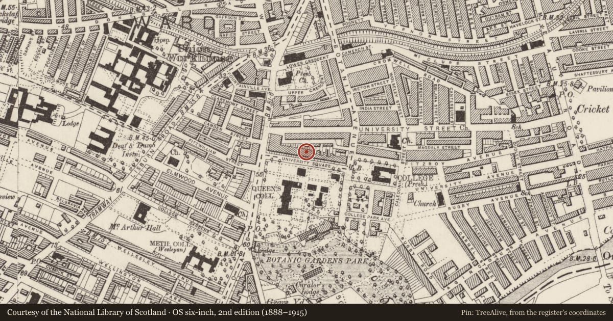 Ordnance Survey six-inch map, 2nd edition (1888–1915) covering the location of 16 University Square, Belfast, with a pin at the register's coordinates