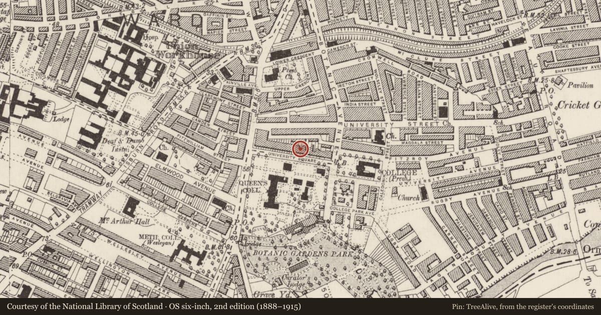 Ordnance Survey six-inch map, 2nd edition (1888–1915) covering the location of 19 University Square, Belfast, with a pin at the register's coordinates