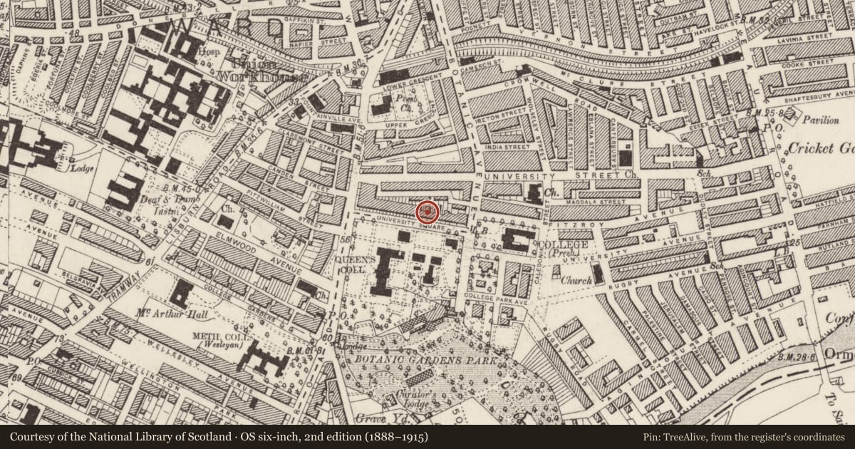 Ordnance Survey six-inch map, 2nd edition (1888–1915) covering the location of 20 University Square, Belfast, with a pin at the register's coordinates