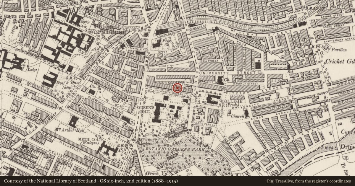 Ordnance Survey six-inch map, 2nd edition (1888–1915) covering the location of 21 University Square, Belfast, with a pin at the register's coordinates