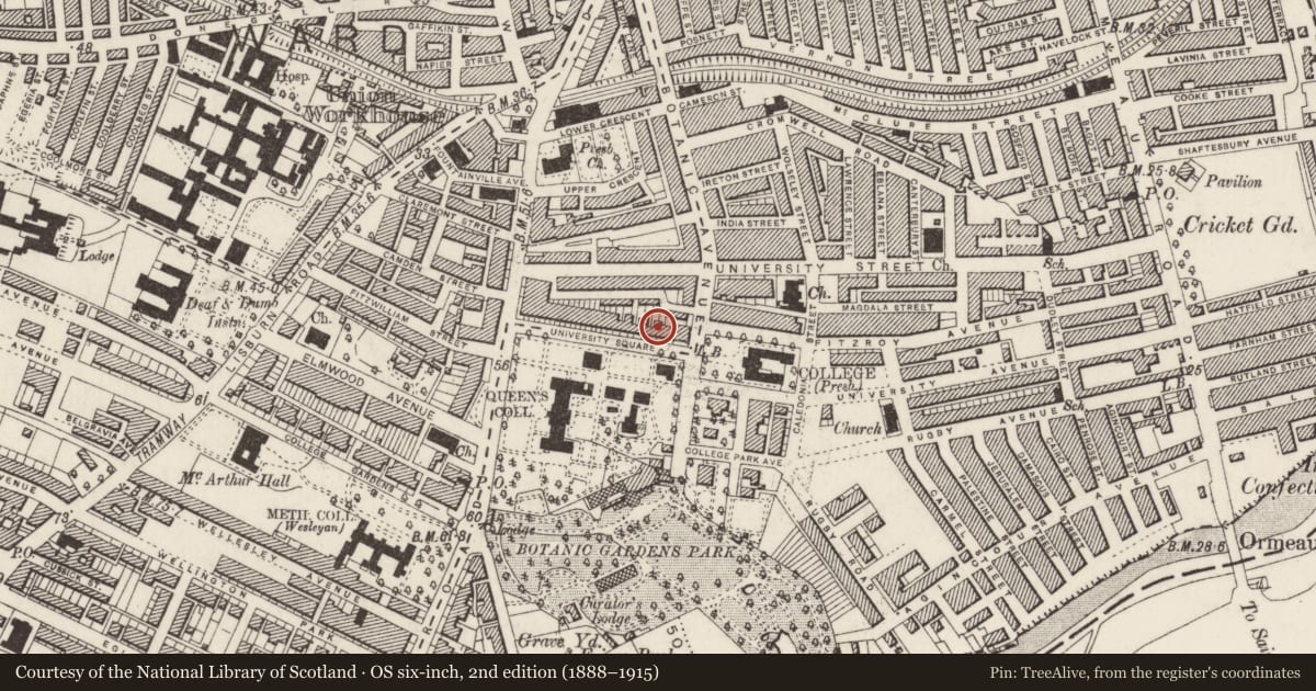 Ordnance Survey six-inch map, 2nd edition (1888–1915) covering the location of 24 University Square, Belfast, with a pin at the register's coordinates