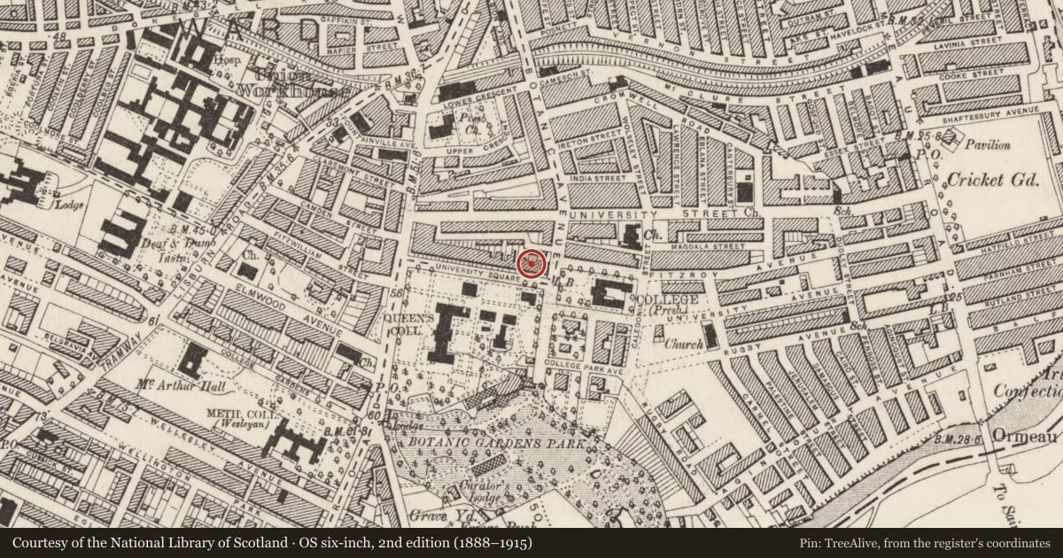 Ordnance Survey six-inch map, 2nd edition (1888–1915) covering the location of 26 University Square, Belfast, with a pin at the register's coordinates