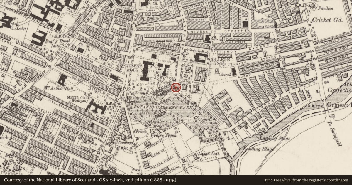 Ordnance Survey six-inch map, 2nd edition (1888–1915) covering the location of Gate Lodge, Belfast, with a pin at the register's coordinates