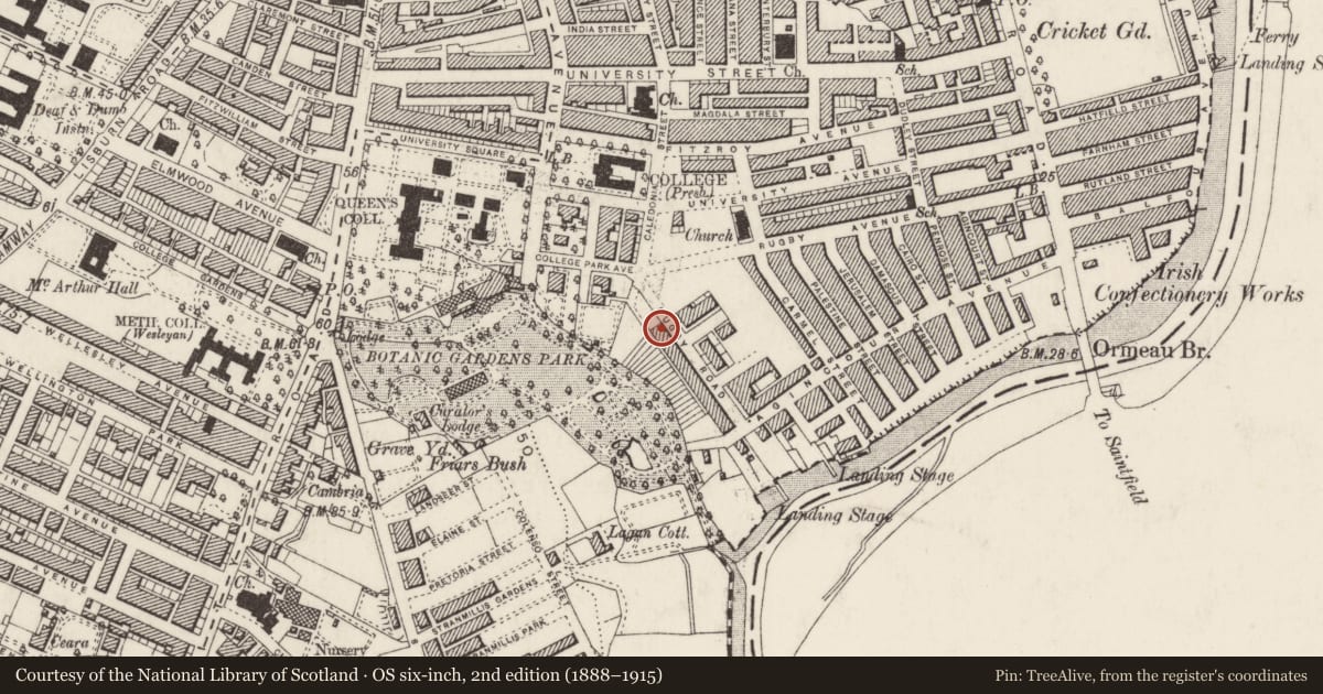 Ordnance Survey six-inch map, 2nd edition (1888–1915) covering the location of 19 Rugby Road, Belfast, with a pin at the register's coordinates