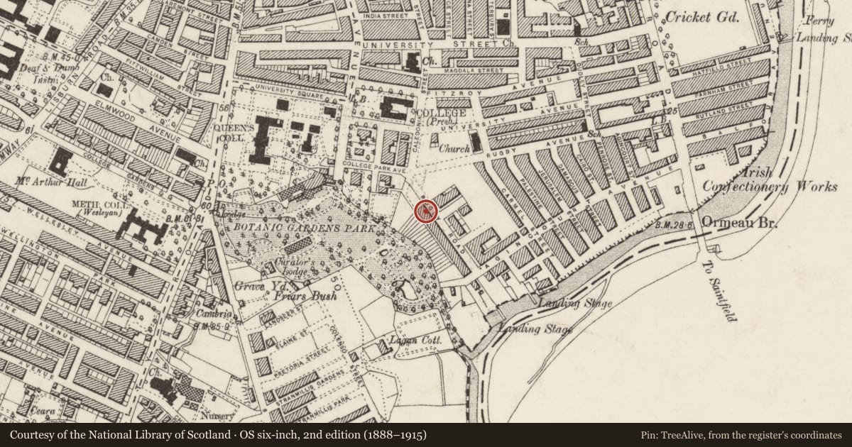 Ordnance Survey six-inch map, 2nd edition (1888–1915) covering the location of 21 Rugby Road, Belfast, with a pin at the register's coordinates