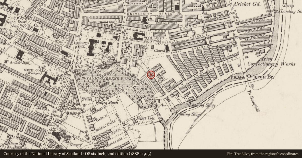 Ordnance Survey six-inch map, 2nd edition (1888–1915) covering the location of 25 Rugby Road, Belfast, with a pin at the register's coordinates