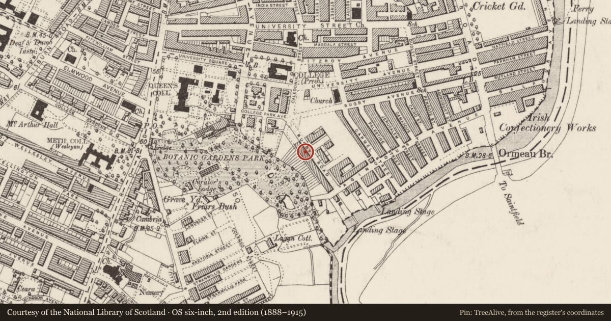 Ordnance Survey six-inch map, 2nd edition (1888–1915) covering the location of 27 Rugby Road, Belfast, with a pin at the register's coordinates