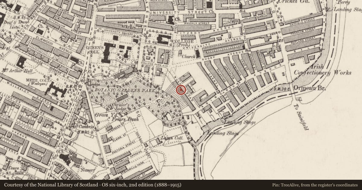 Ordnance Survey six-inch map, 2nd edition (1888–1915) covering the location of 31 Rugby Road, Belfast, with a pin at the register's coordinates