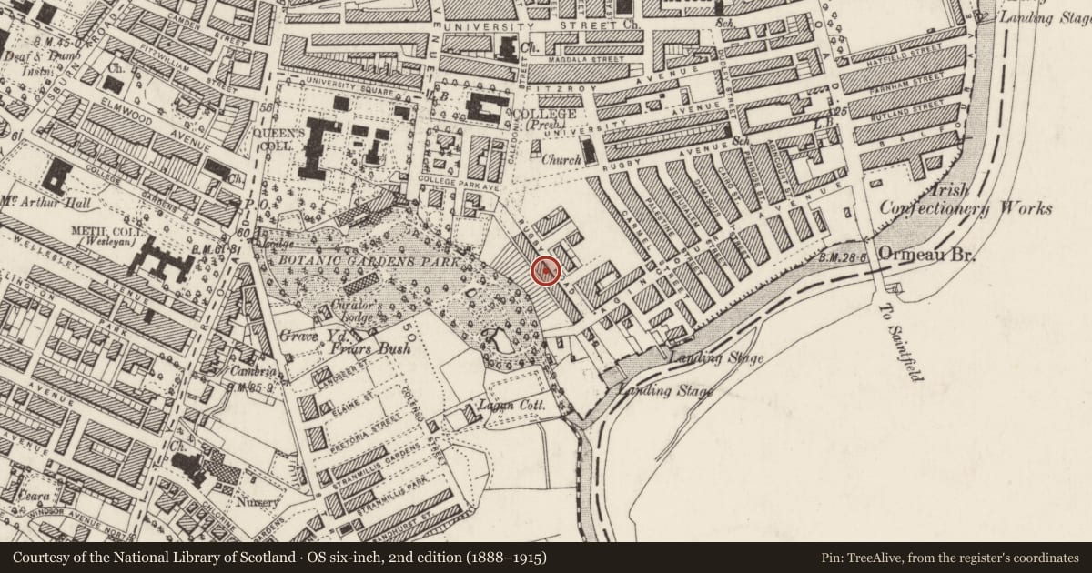Ordnance Survey six-inch map, 2nd edition (1888–1915) covering the location of 37 Rugby Road, Belfast, with a pin at the register's coordinates