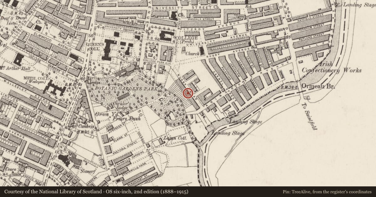 Ordnance Survey six-inch map, 2nd edition (1888–1915) covering the location of 39 Rugby Road, Belfast, with a pin at the register's coordinates