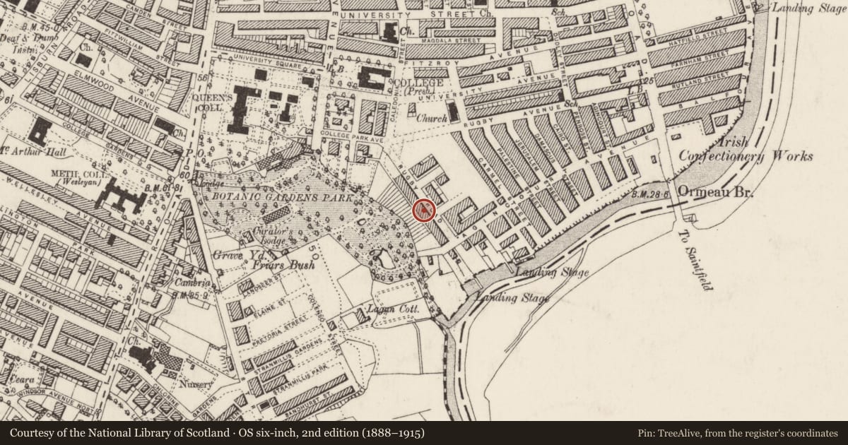 Ordnance Survey six-inch map, 2nd edition (1888–1915) covering the location of 41 Rugby Road, Belfast, with a pin at the register's coordinates