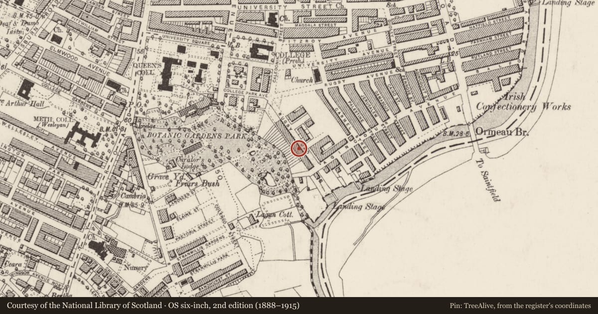 Ordnance Survey six-inch map, 2nd edition (1888–1915) covering the location of 45 Rugby Road, Belfast, with a pin at the register's coordinates