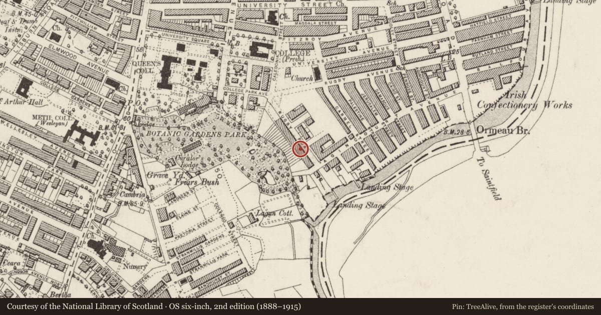 Ordnance Survey six-inch map, 2nd edition (1888–1915) covering the location of 47 Rugby Road, Belfast, with a pin at the register's coordinates
