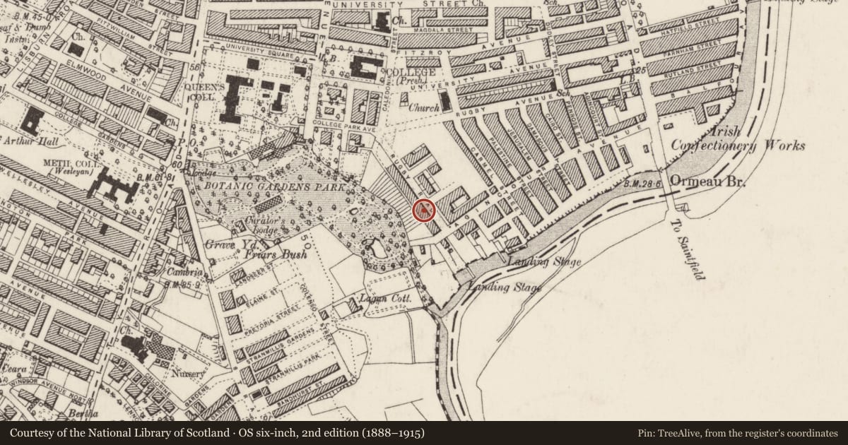 Ordnance Survey six-inch map, 2nd edition (1888–1915) covering the location of 49 Rugby Road, Belfast, with a pin at the register's coordinates