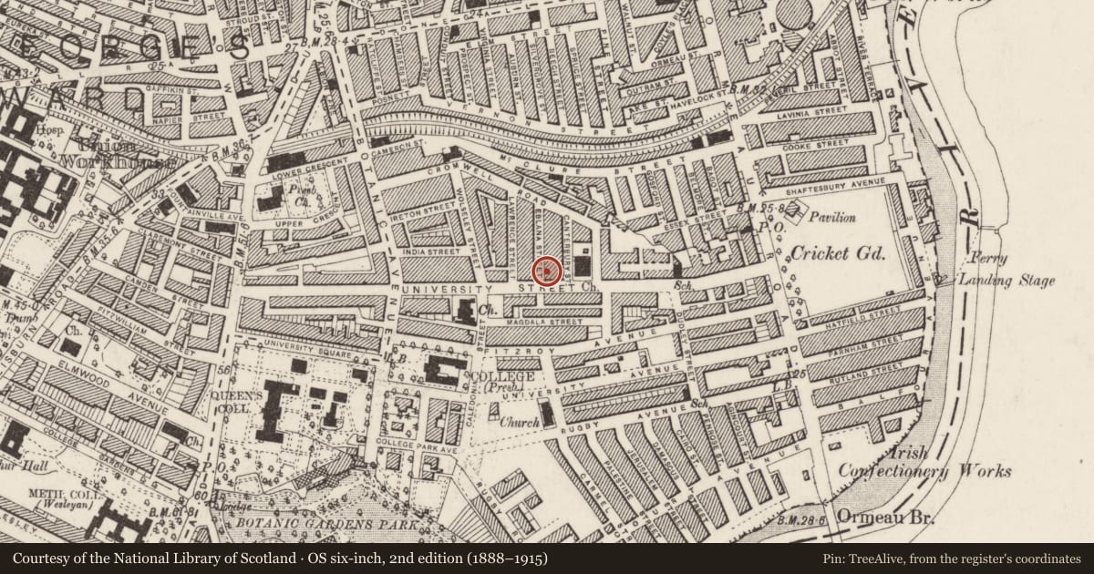 Ordnance Survey six-inch map, 2nd edition (1888–1915) covering the location of 94 University St., Belfast, with a pin at the register's coordinates