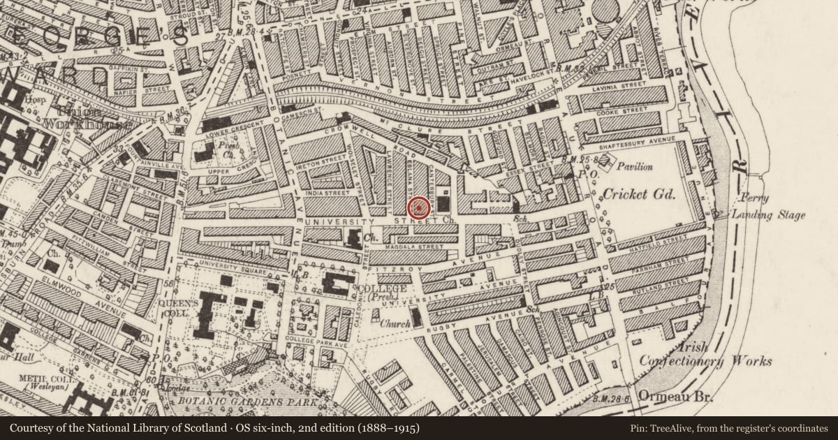Ordnance Survey six-inch map, 2nd edition (1888–1915) covering the location of 96 University St., Belfast, with a pin at the register's coordinates