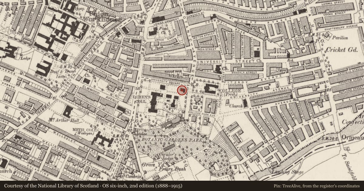 Ordnance Survey six-inch map, 2nd edition (1888–1915) covering the location of Queens University Of Belfast, Belfast, with a pin at the register's coordinates