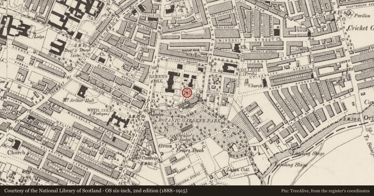 Ordnance Survey six-inch map, 2nd edition (1888–1915) covering the location of Queens University Of Belfast, Belfast, with a pin at the register's coordinates