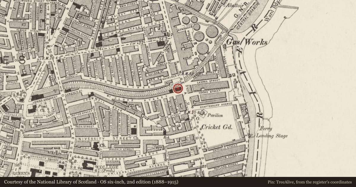 Ordnance Survey six-inch map, 2nd edition (1888–1915) covering the location of Former Methodist Church 85 Ormeau Road Belfast BT7 1SH ** See General Comments **, Malone Lower, Belfast, with a pin at the register's coordinates