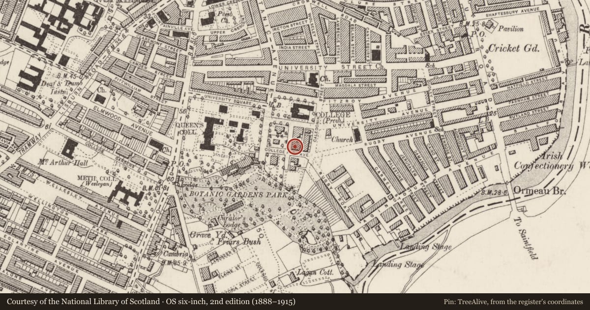 Ordnance Survey six-inch map, 2nd edition (1888–1915) covering the location of 6 College Park East, Belfast, BT7 1PS, Malone Lower, Belfast, with a pin at the register's coordinates