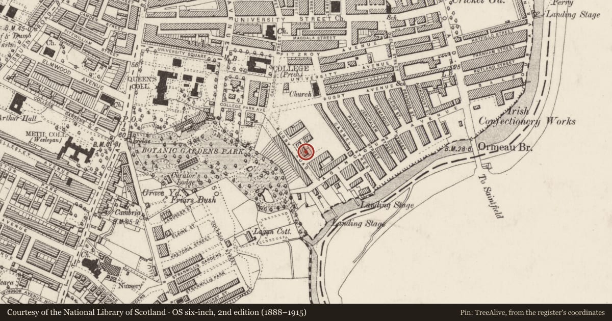Ordnance Survey six-inch map, 2nd edition (1888–1915) covering the location of 64 Rugby Road, Belfast, with a pin at the register's coordinates