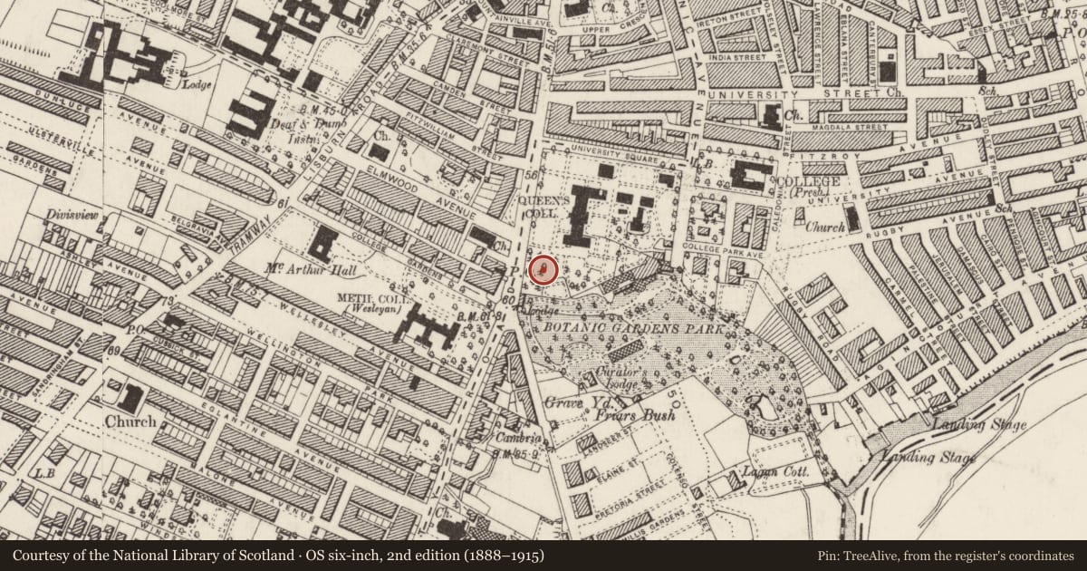 Ordnance Survey six-inch map, 2nd edition (1888–1915) covering the location of Whitla Hall, Belfast, with a pin at the register's coordinates
