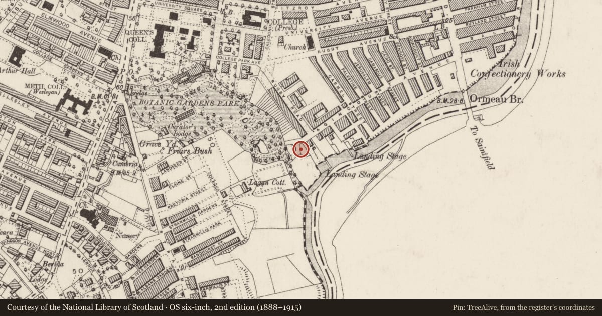 Ordnance Survey six-inch map, 2nd edition (1888–1915) covering the location of Botanic Primary School, Belfast, with a pin at the register's coordinates