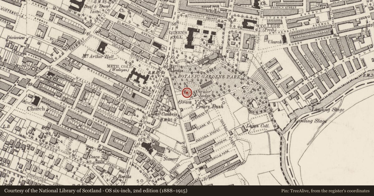 Ordnance Survey six-inch map, 2nd edition (1888–1915) covering the location of Ulster Museum, Belfast, with a pin at the register's coordinates