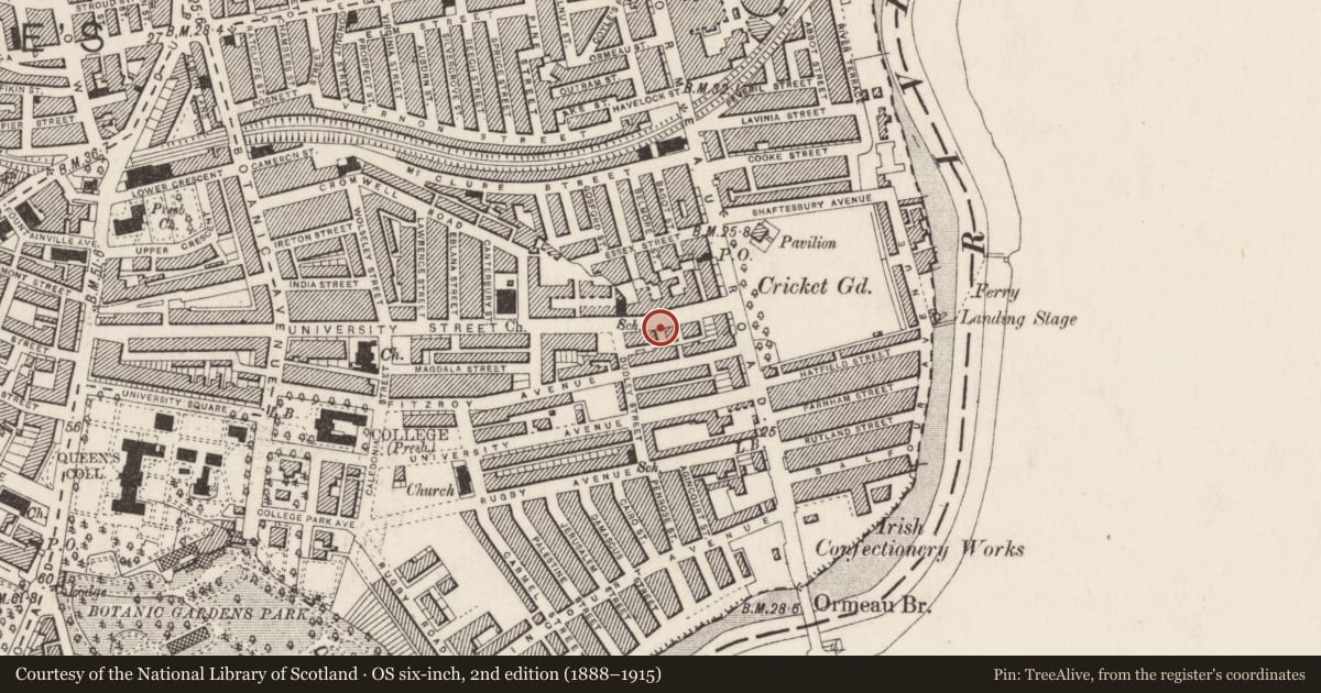 Ordnance Survey six-inch map, 2nd edition (1888–1915) covering the location of Garage/Shop ('Europcar'), Belfast Town Parks, Belfast, with a pin at the register's coordinates