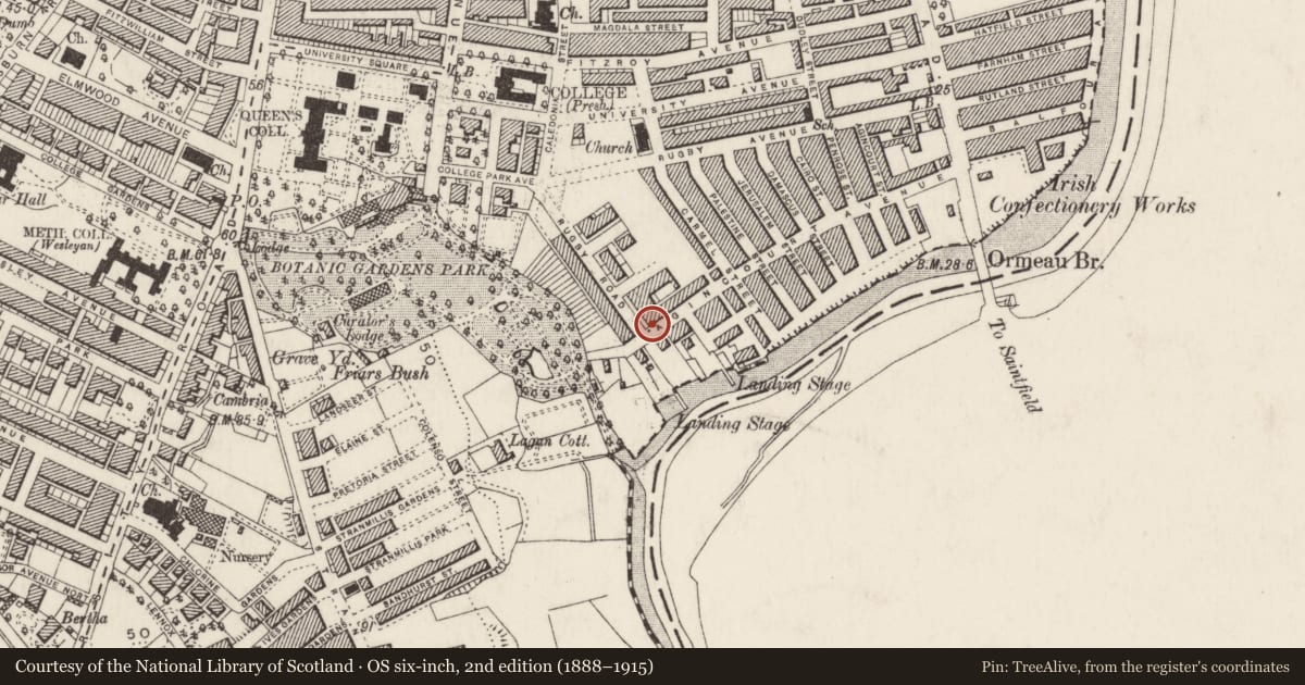 Ordnance Survey six-inch map, 2nd edition (1888–1915) covering the location of Post Box, Malone Lower, Belfast, with a pin at the register's coordinates