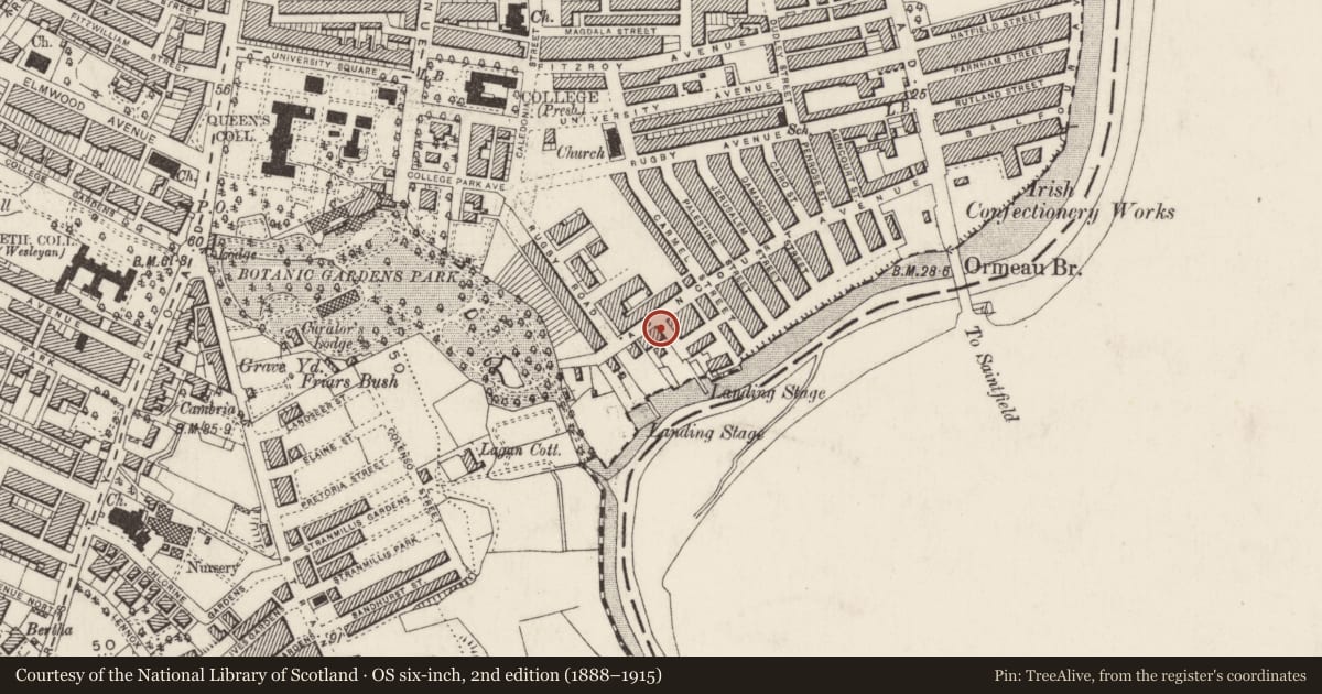 Ordnance Survey six-inch map, 2nd edition (1888–1915) covering the location of 136 Agincourt Avenue Belfast BT7 1QD ** See General Comments **, Malone Lower, Belfast, with a pin at the register's coordinates