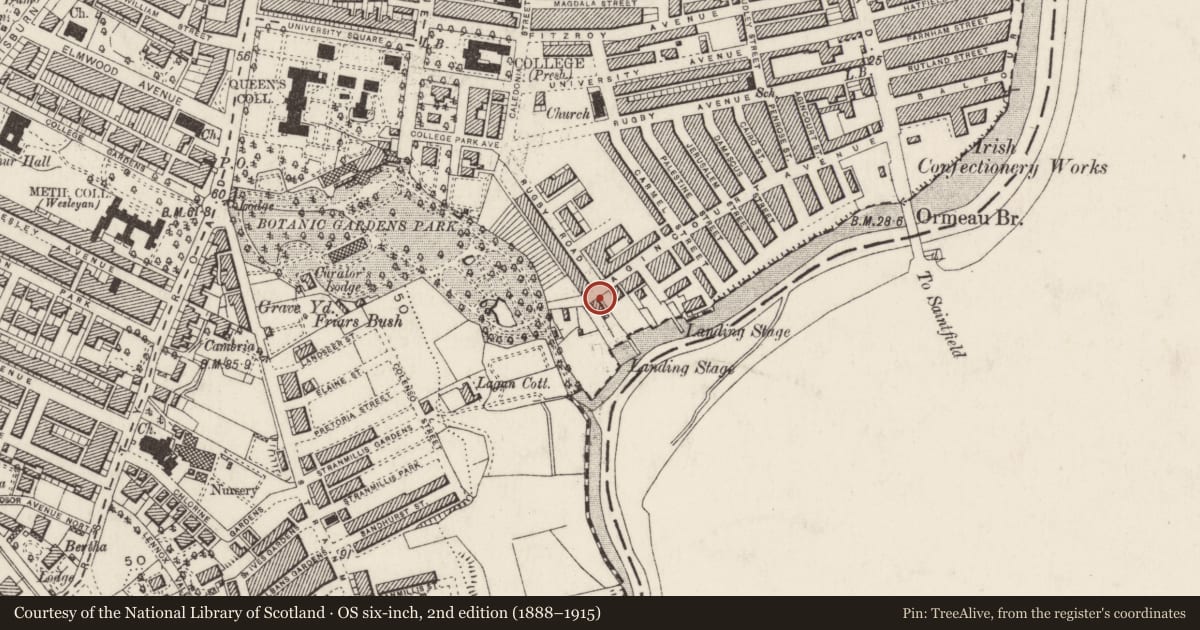 Ordnance Survey six-inch map, 2nd edition (1888–1915) covering the location of 1 Botanic Court, with a pin at the register's coordinates
