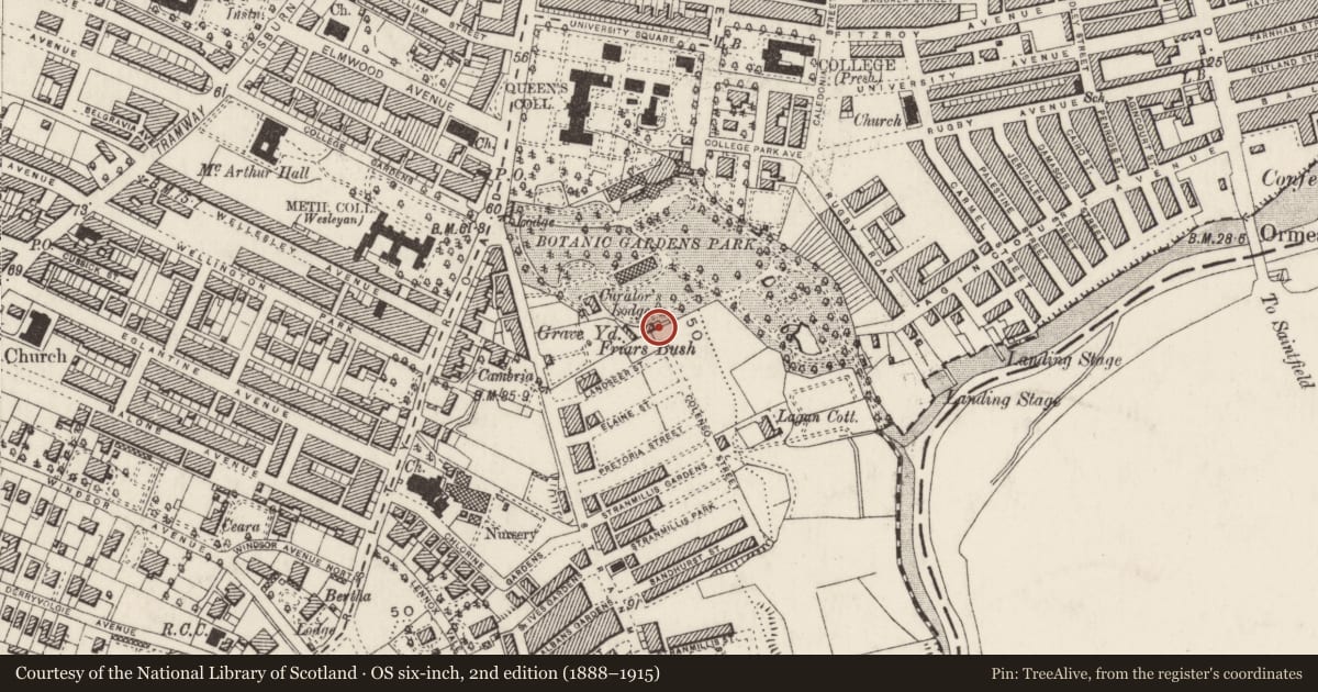 Ordnance Survey six-inch map, 2nd edition (1888–1915) covering the location of Gate Screen, Malone Lower, with a pin at the register's coordinates