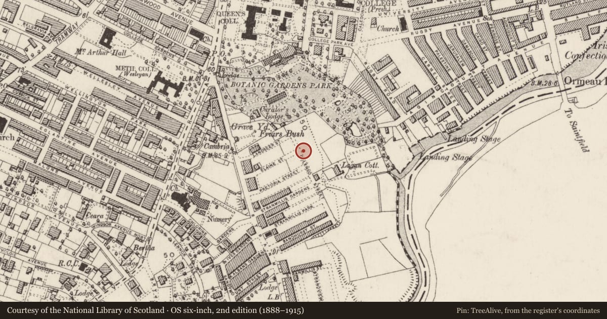 Ordnance Survey six-inch map, 2nd edition (1888–1915) covering the location of Gate Screen and railings at Colenso Parade Botanic Gardens Belfast BT9 5AN, Malone Lower, Belfast, with a pin at the register's coordinates