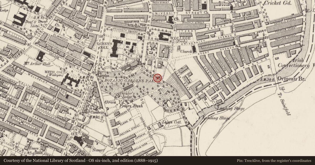 Ordnance Survey six-inch map, 2nd edition (1888–1915) covering the location of Little Pavilion, Malone Lower, Belfast, with a pin at the register's coordinates