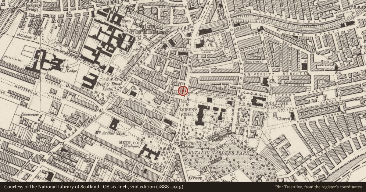 Ordnance Survey six-inch map, 2nd edition (1888–1915) covering the location of 65 University Road, Lower Malone, Belfast, with a pin at the register's coordinates
