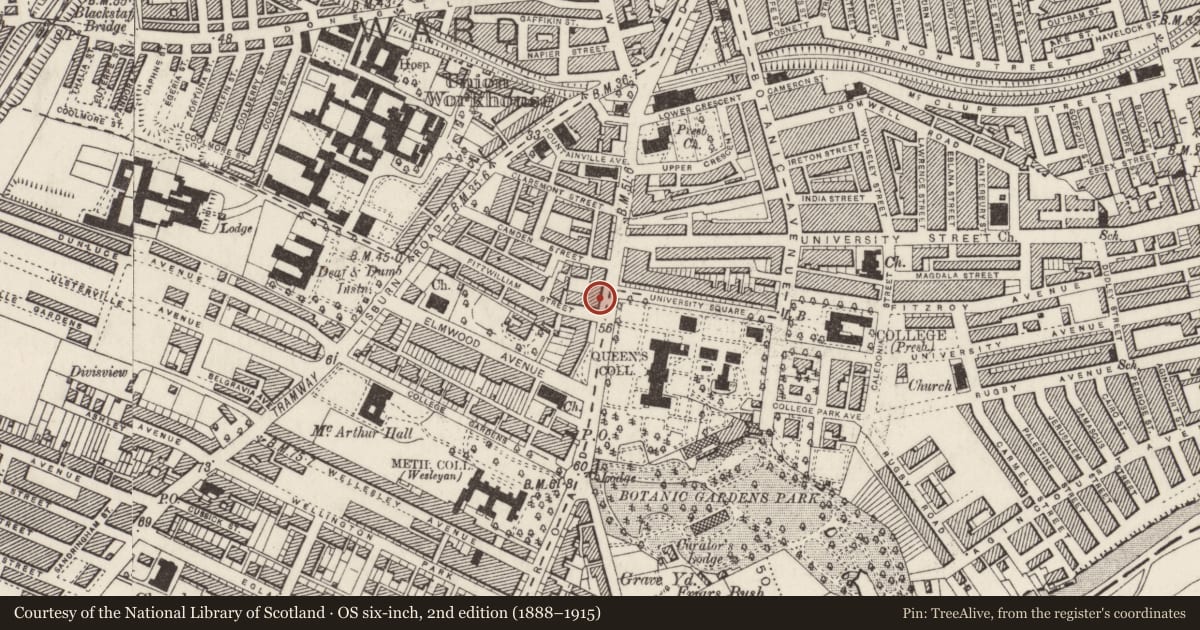Ordnance Survey six-inch map, 2nd edition (1888–1915) covering the location of 67 University Road, Lower Malone, Belfast, with a pin at the register's coordinates