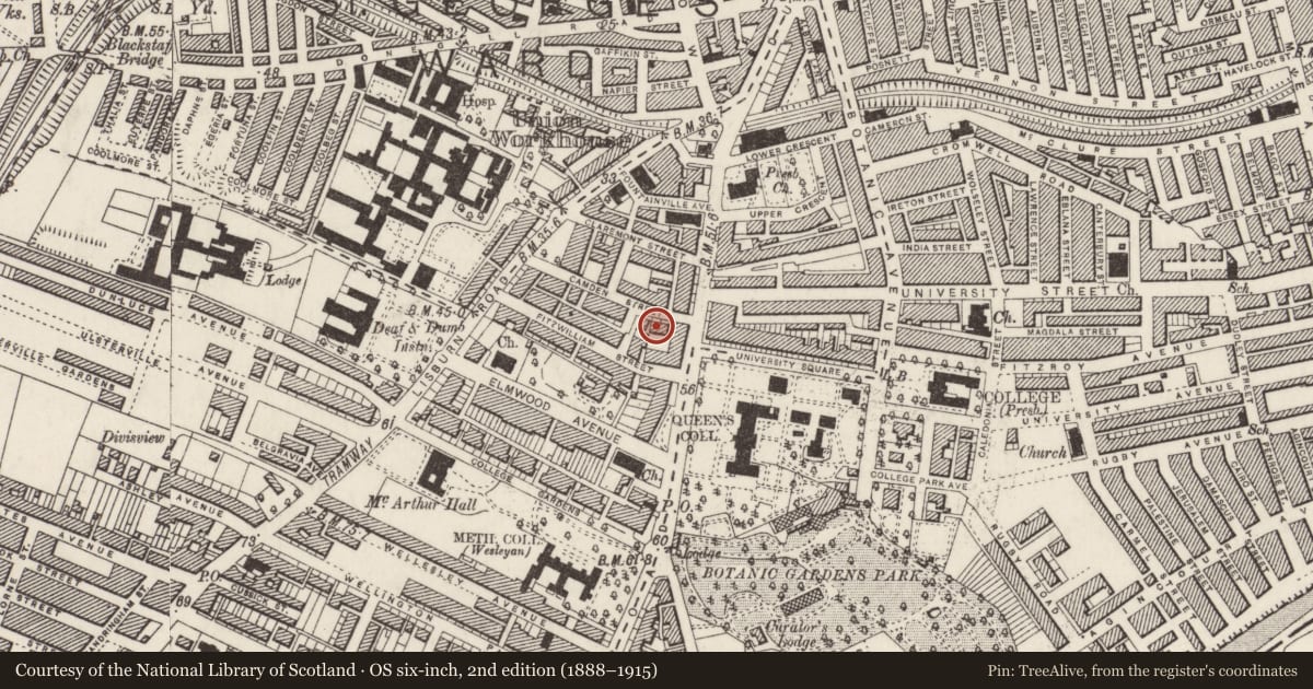 Ordnance Survey six-inch map, 2nd edition (1888–1915) covering the location of 53 Camden St., Belfast, with a pin at the register's coordinates