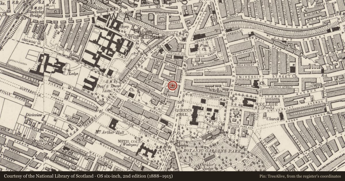 Ordnance Survey six-inch map, 2nd edition (1888–1915) covering the location of 55 Camden St., Belfast, with a pin at the register's coordinates