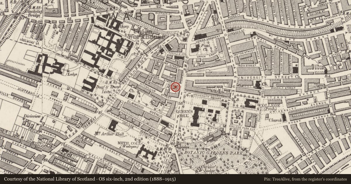 Ordnance Survey six-inch map, 2nd edition (1888–1915) covering the location of 59 Camden St., Belfast, with a pin at the register's coordinates