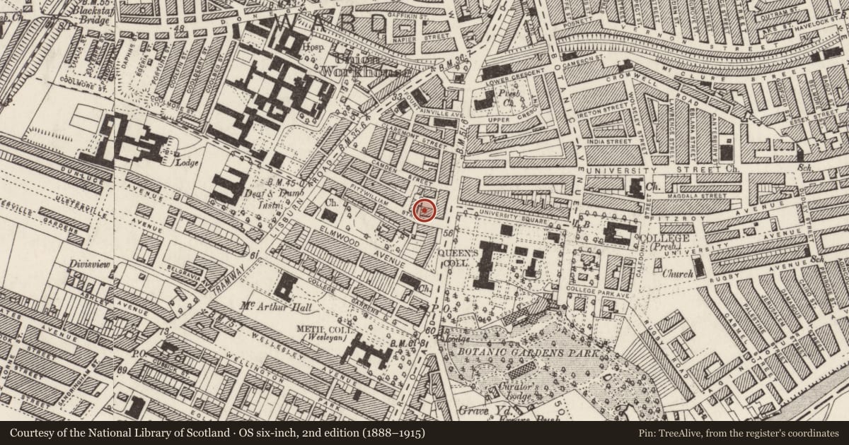 Ordnance Survey six-inch map, 2nd edition (1888–1915) covering the location of 11 Fitzwilliam St., Belfast, with a pin at the register's coordinates