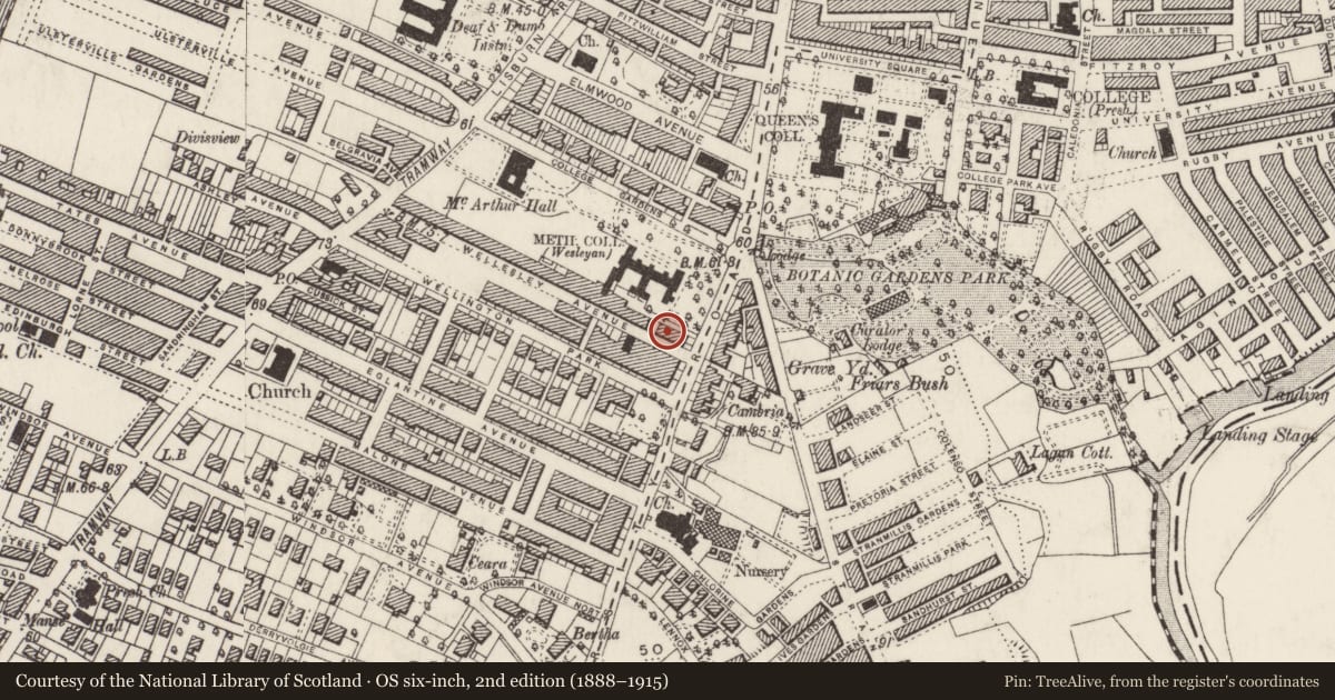 Ordnance Survey six-inch map, 2nd edition (1888–1915) covering the location of 1 Wellesley Avenue, Belfast, with a pin at the register's coordinates