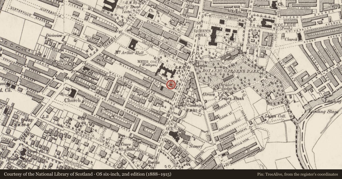 Ordnance Survey six-inch map, 2nd edition (1888–1915) covering the location of 3 Wellesley Avenue, Belfast, with a pin at the register's coordinates