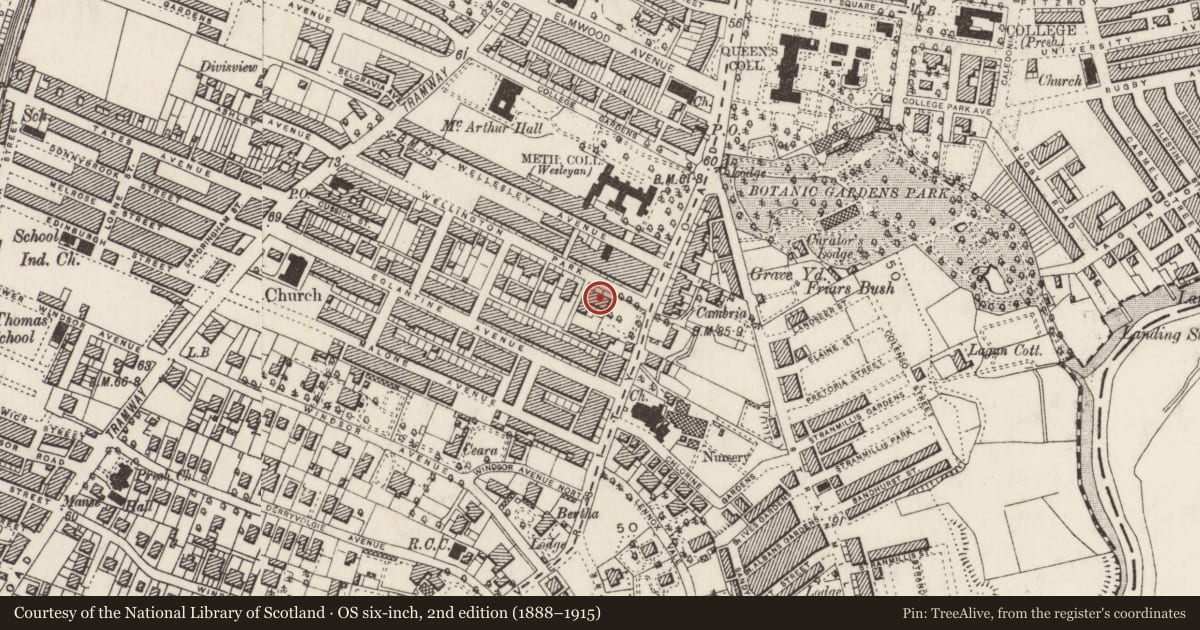 Ordnance Survey six-inch map, 2nd edition (1888–1915) covering the location of 6 Wellington Park, Belfast, with a pin at the register's coordinates