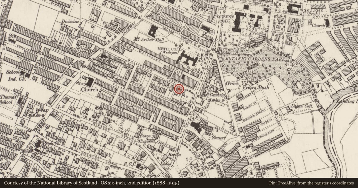 Ordnance Survey six-inch map, 2nd edition (1888–1915) covering the location of 10 Wellington Park, Belfast, with a pin at the register's coordinates
