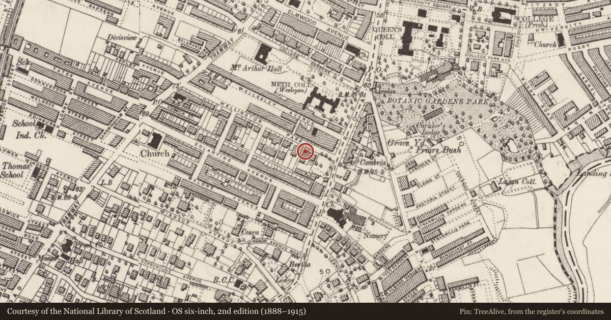 Ordnance Survey six-inch map, 2nd edition (1888–1915) covering the location of 12 Wellington Park, Belfast, with a pin at the register's coordinates