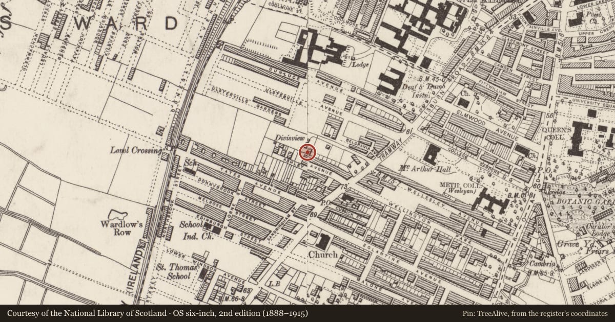 Ordnance Survey six-inch map, 2nd edition (1888–1915) covering the location of 47 Ashley Avenue, Belfast, with a pin at the register's coordinates